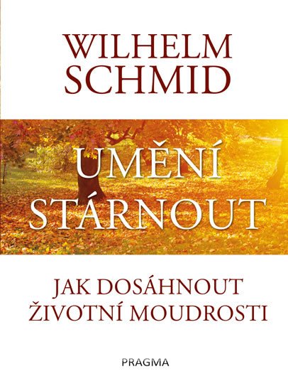 UMĚNÍ STÁRNOUT