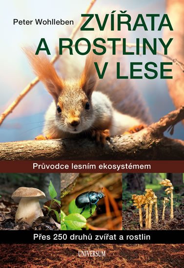 ZVÍŘATA A ROSTLINY V LESE