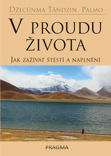 V PROUDU ŽIVOTA JAK ZAŽÍVAT ŠTĚSTÍ A NAPLNĚNÍ