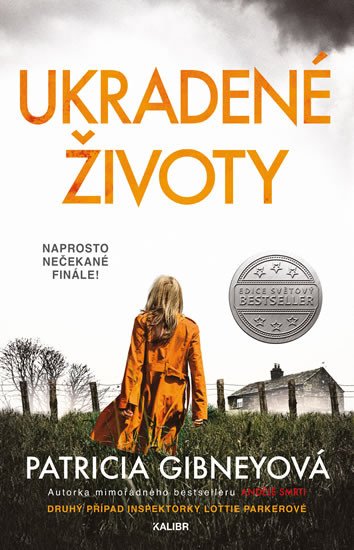 UKRADENÉ ŽIVOTY (INSPEKTORKA LOTTIE PARKEROVÁ 2)