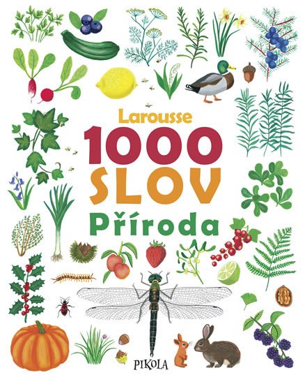 1000 SLOV PŘÍRODA LAROUSSE