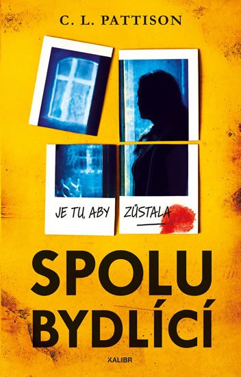 SPOLUBYDLÍCÍ