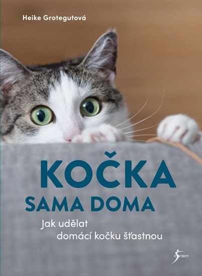 KOČKA SAMA DOMA - JAK UDĚLAT DOMÁCÍ KOČKU ŠŤASTNOU