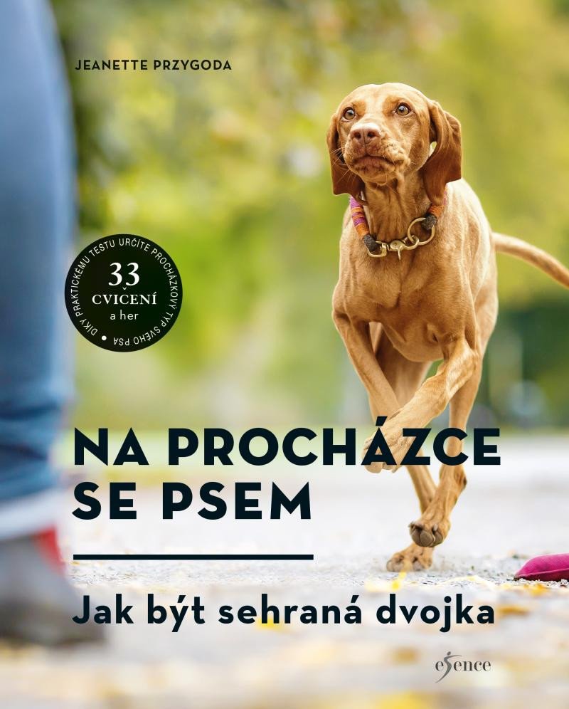 NA PROCHÁZCE SE PSEM