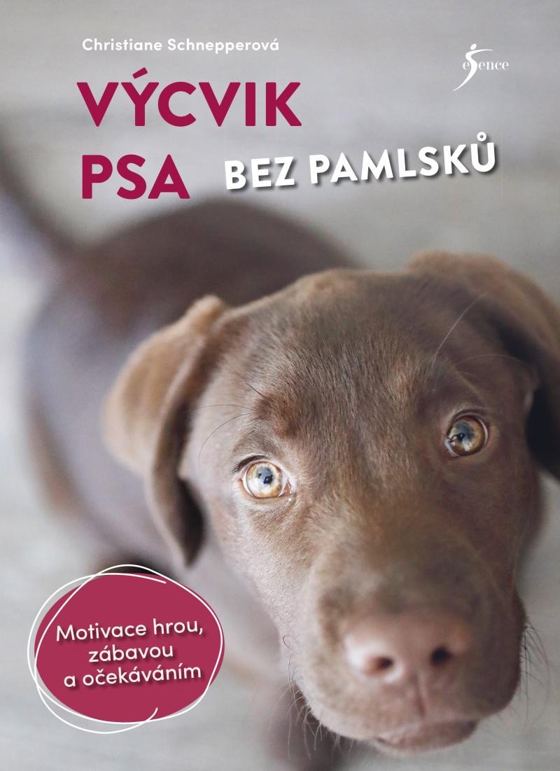 VÝCVIK PSA BEZ PAMLSKŮ