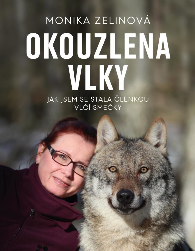 OKOUZLENI VLKY