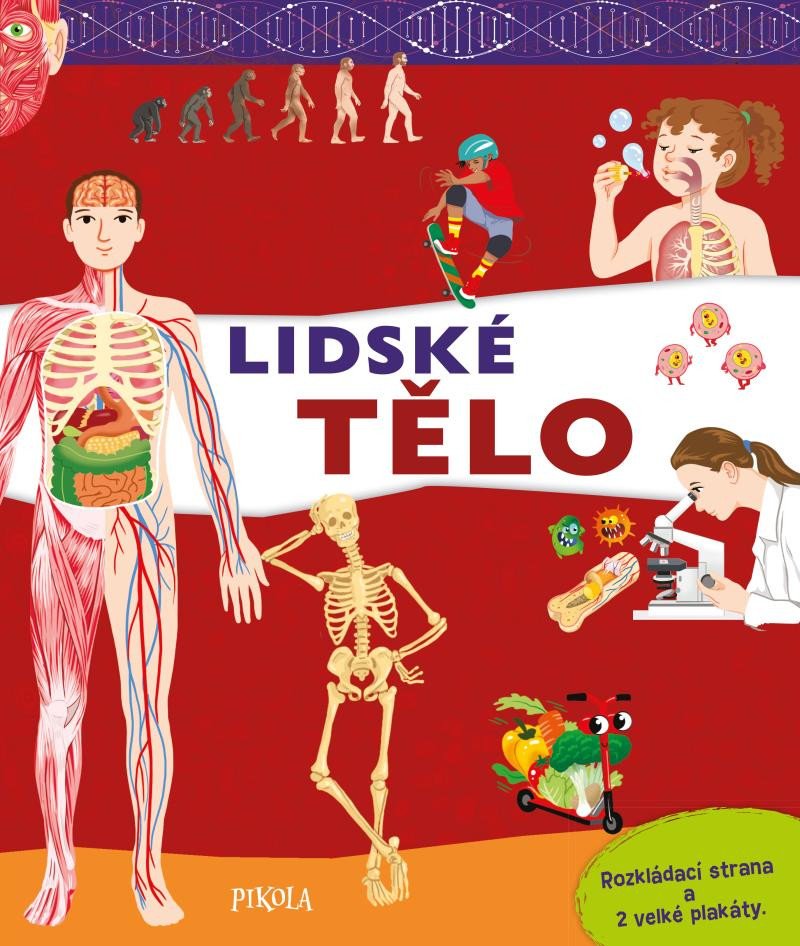 LIDSKÉ TĚLO