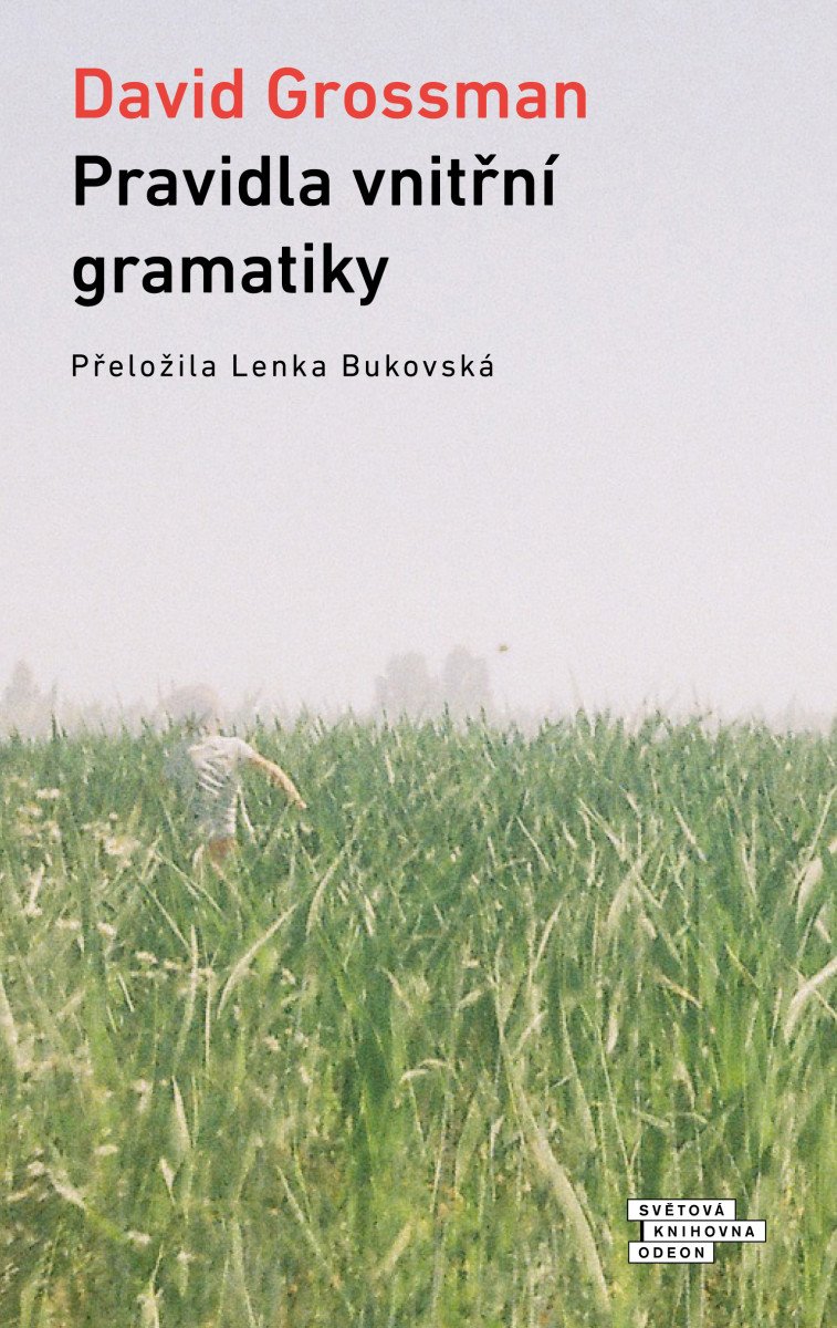 PRAVIDLA VNITŘNÍ GRAMATIKY