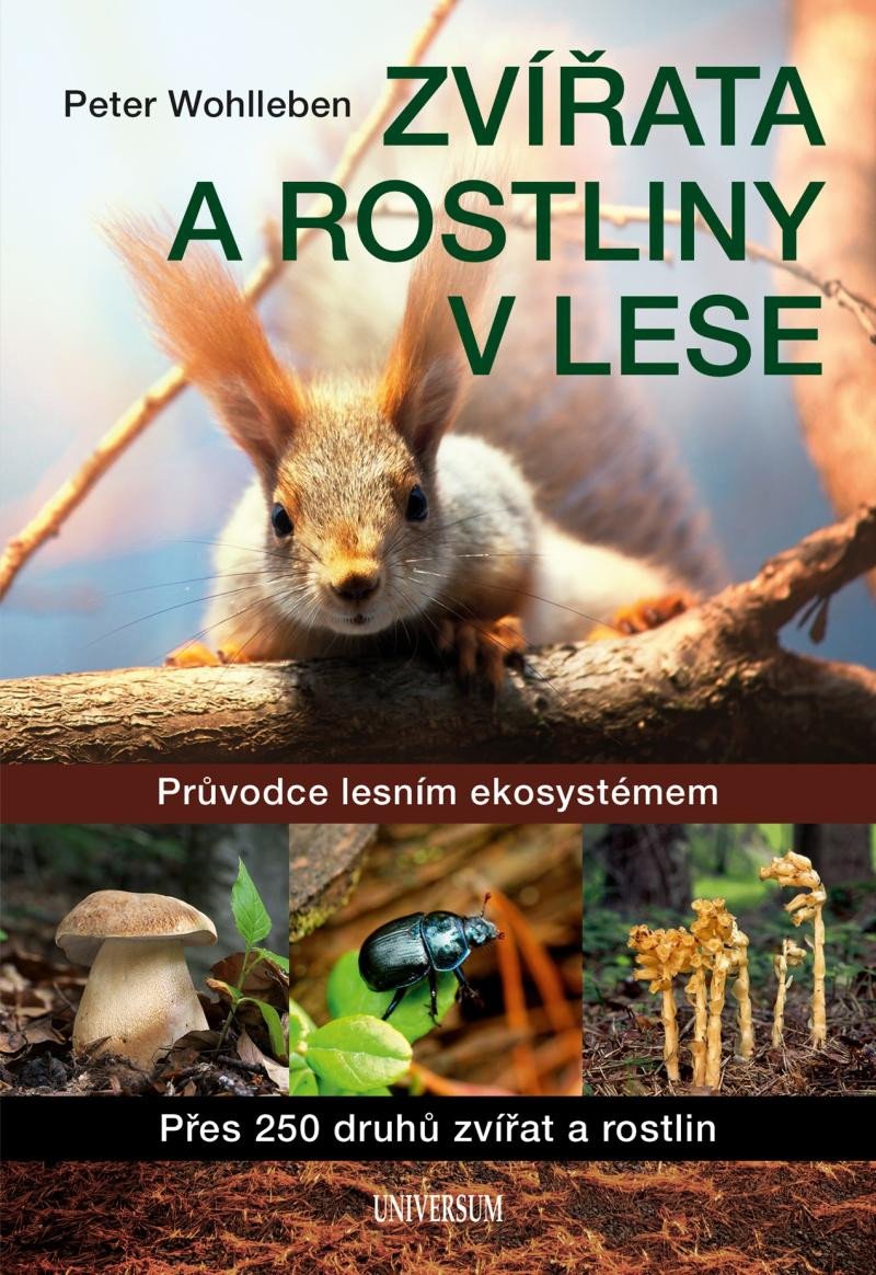 ZVÍŘATA A ROSTLINY V LESE [2. VYDÁNÍ]