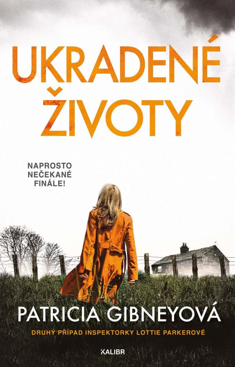 UKRADENÉ ŽIVOTY (INSPEKTORKA LOTTIE PARKEROVÁ 2)