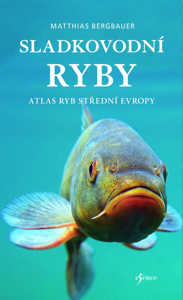 SLADKOVODNÍ RYBY
