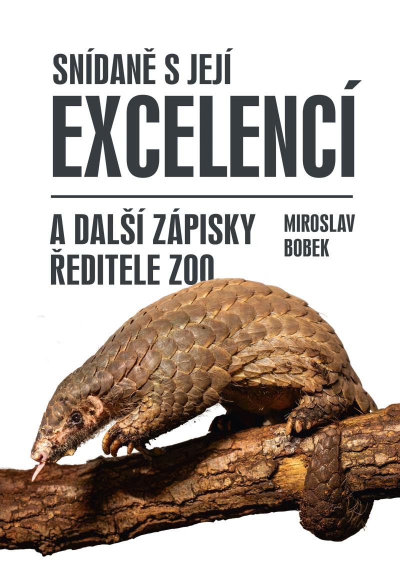 SNÍDANĚ S JEJÍ EXCELENCÍ A DALŠÍ ZÁPISKY