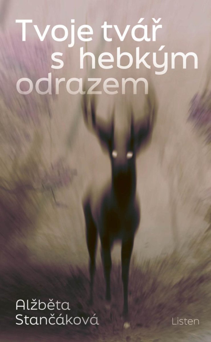 TVOJE TVÁŘ S HEBKÝM ODRAZEM
