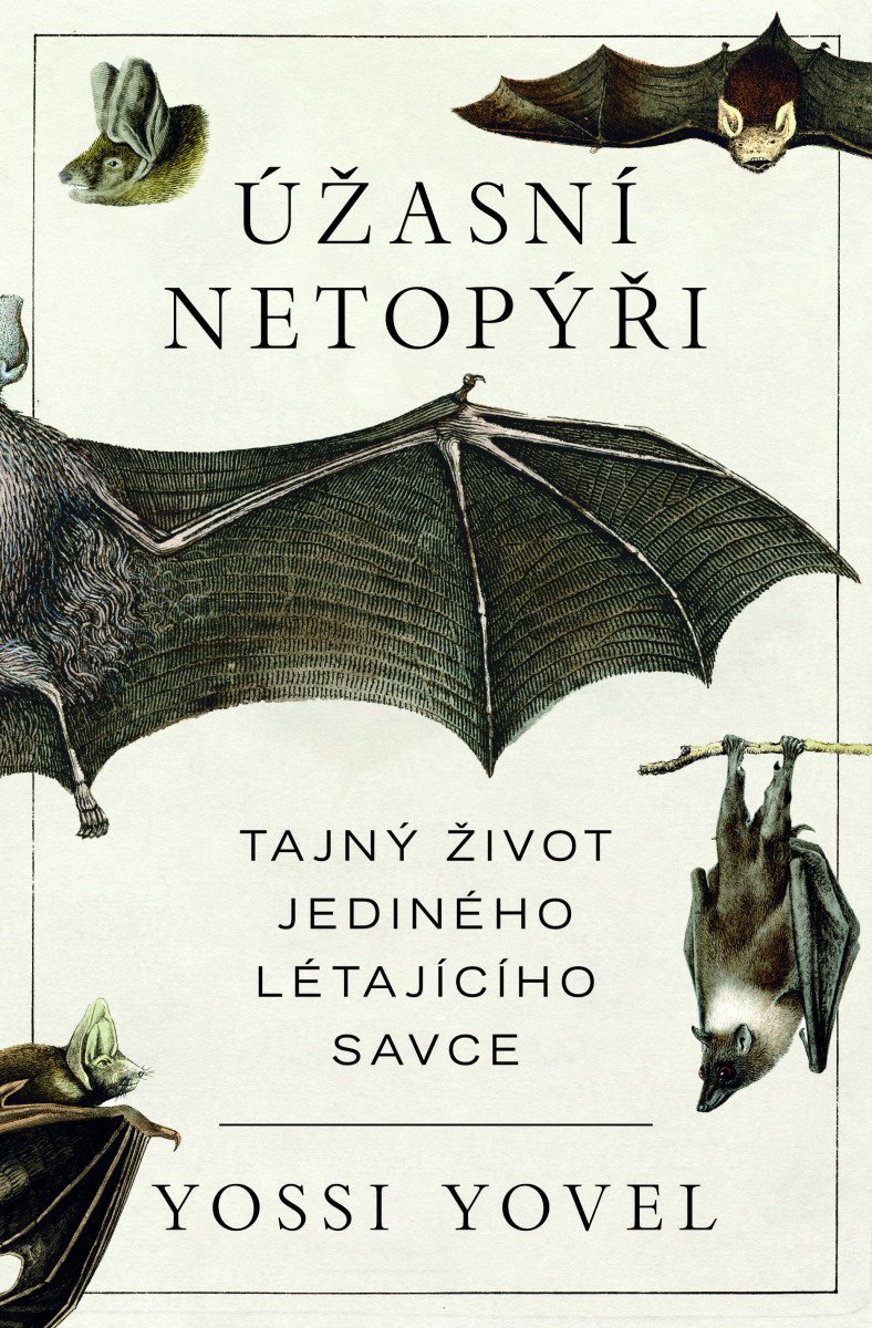 ÚŽASNÍ NETOPÝŘI