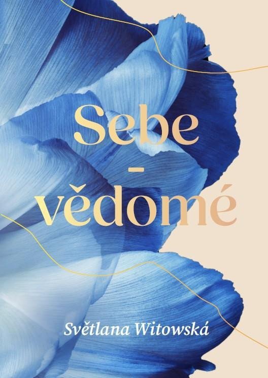 SEBE-VDOM