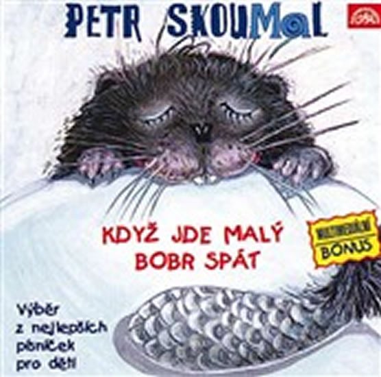 KDYŽ JDE MALÝ BOBR SPÁT CD (AUDIO)