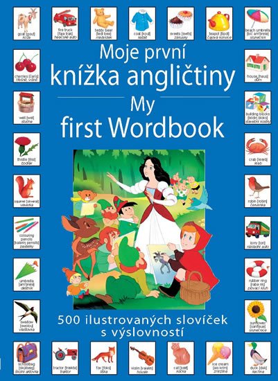 MOJE PRVNÍ KNÍŽKA ANGLIČTINY/MY FIRST WORKBOOK