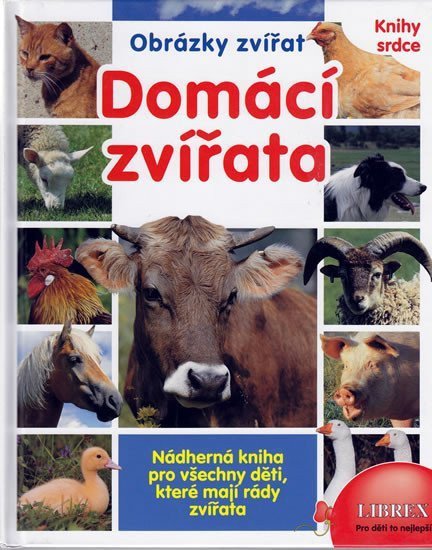 DIVOKÁ ZVÍŘATA-OBRÁZKY ZVÍŘAT