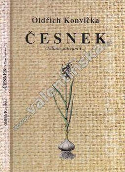 ČESNEK [ALLIUM SATIVUM L.]