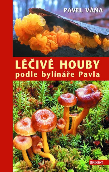 LÉČIVÉ HOUBY PODLE BYLINÁŘE PAVLA