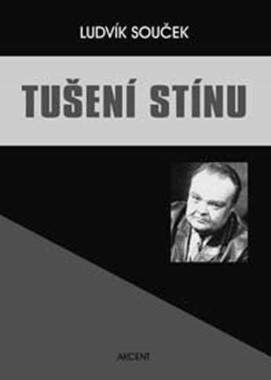 TUŠENÍ STÍNU