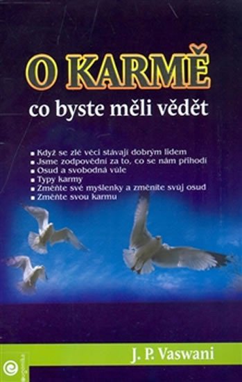 O KARMĚ-CO BY JSME MĚLI VĚDĚT