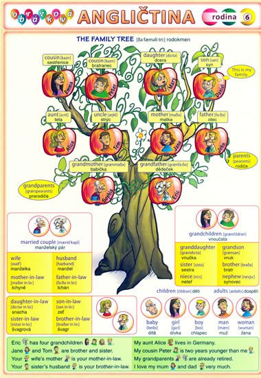 OBRÁZKOVÁ ANGLIČTINA 6 - RODINA (TABULKA)