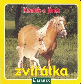 Obálka knihy