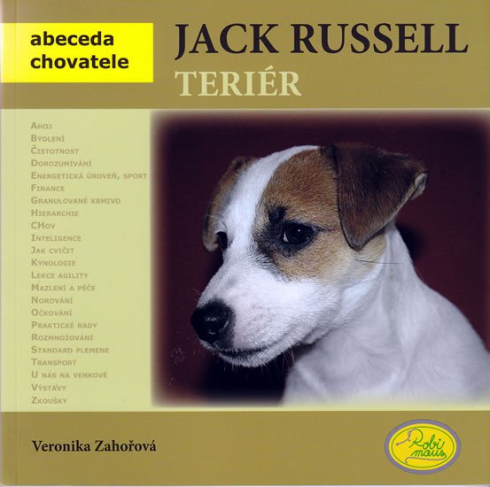 JACK RUSSELL TERIÉR