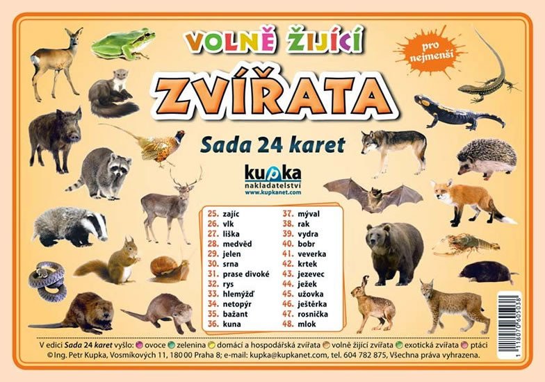 VOLNĚ ŽIJÍCÍ ZVÍŘATA - SADA 24 KARET