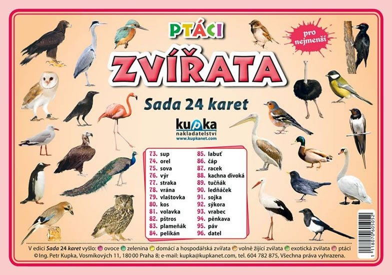 SADA 24 KARET-PTÁCI