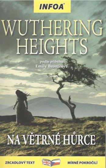 NA VĚTRNÉ HŮRCE WUTHERING HEIGHTS ZRCADLOVÁ