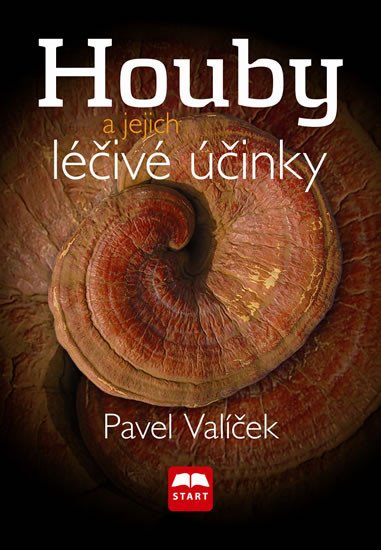 HOUBY A JEJICH LÉČIVÉ ÚČINKY