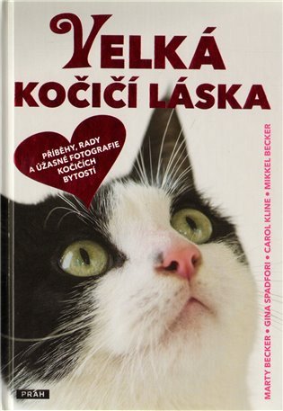 Obálka knihy