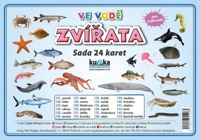 SADA 24 KARET-ZVÍŘATA VE VODĚ