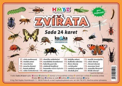 SADA 24 KARET-ZVÍŘATA HMYZ