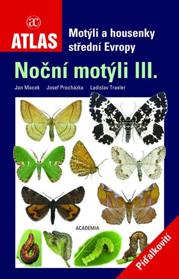 NOČNÍ MOTÝLI III.