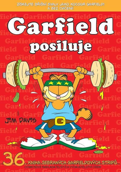 GARFIELD POSILUJE /36/