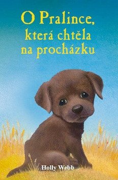 Obálka knihy