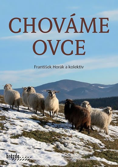 CHOVÁME OVCE