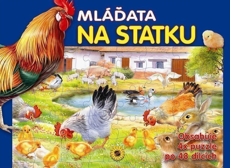 Obálka knihy