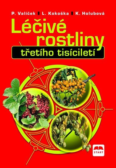 LÉČIVÉ ROSTLINY TŘETÍHO TISÍCÍLETÍ