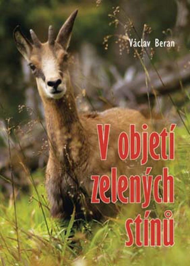 V OBJETÍ ZELENÝCH STÍNŮ