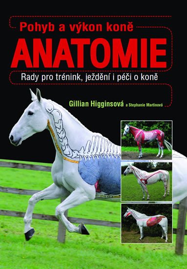 POHYB A VÝKON KONĚ - ANATOMIE