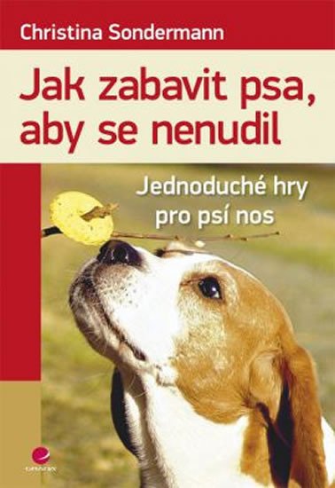 JAK ZABAVIT PSA, ABY SE NENUDIL