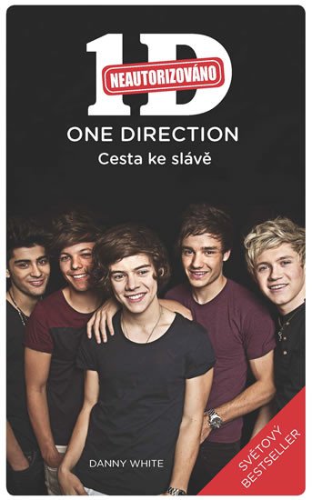 ONE DIRECTION - CESTA KE SLÁVĚ