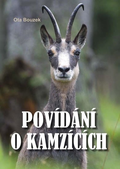 POVÍDÁNÍ O KAMZÍCÍCH