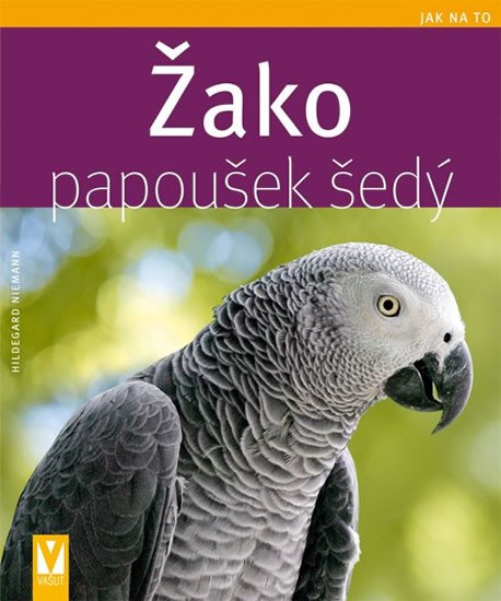 ŽAKO PAPOUŠEK ŠEDÝ (JAK NA TO)