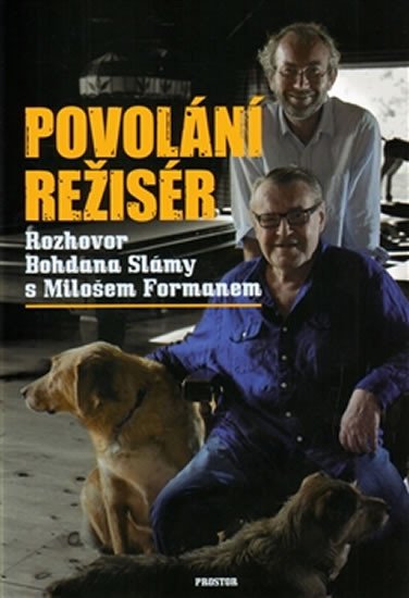 POVOLÁNÍ REŽISÉR