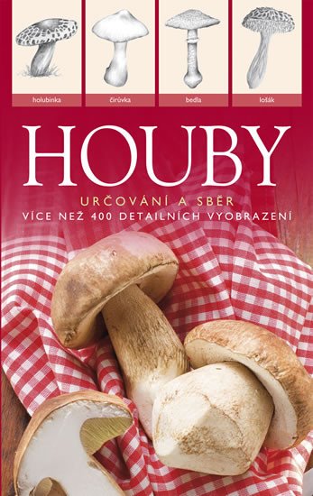 HOUBY - URČOVÁNÍ A SBĚR